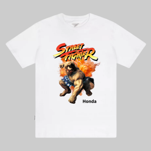 Street Fighter Honda